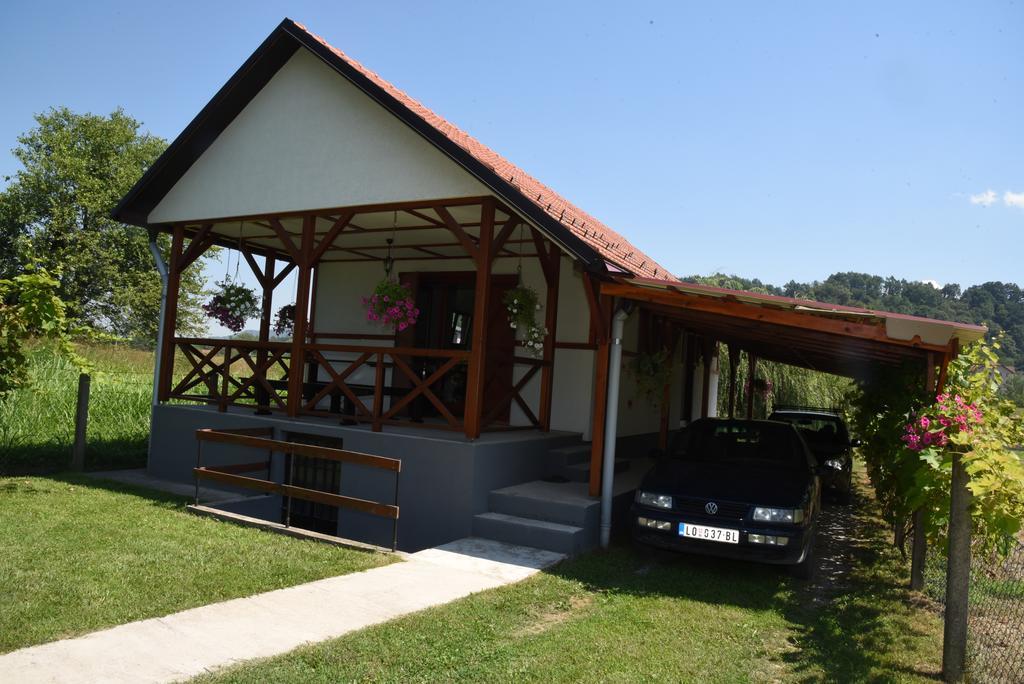 Holiday Home Kucica Na Drvetu Banja Koviljača Kültér fotó